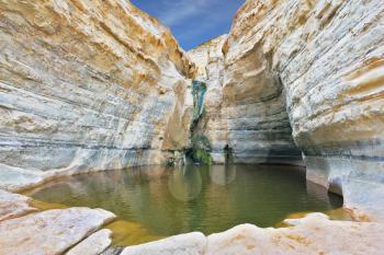 Canyon Ein Avdat in Israel. Sandstone canyon walls form a round bowl. Thin jet waterfall form cold lake