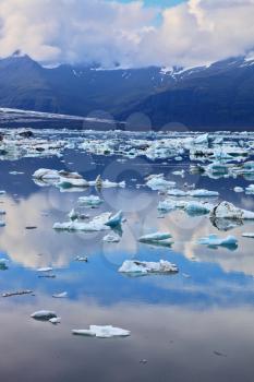 Icebergs and ice floes in the Ice Lagoon Jokulsarlon. South-east Iceland in July