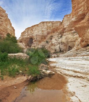 Ein Avdat National Park in the Negev desert. Magnificent canyon, creek and picturesque waterfall