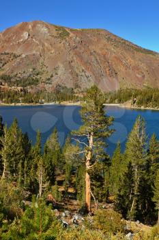 Lake Tioga on pass in an environment of picturesque mountains. Warm serene autumn day