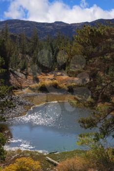Charming lake Ellery in national park Yosemite. Warm autumn day