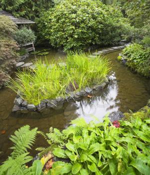  Decorative small stone island with a gentle green grass in Japanese garden
