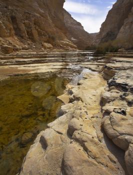  Standing marsh waters in a canyon in stone dry deserts