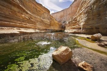 Magnificent picturesque gorge En-Avdat during a drought