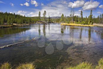 
The river Gibbons it is smoothly bent in Yellowstone national park
