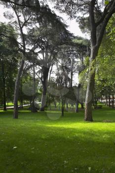 Picturesque Madrid park Buen-Retiro in May