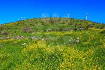  Number of picturesque windmills on top of the hill. Legendary Golan Heights