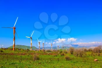  Several huge modern windmills on background snowy Hermon. Flowering Golan Heights on a sunny day. Galilee, Israel