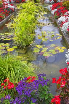  A pond and a flower bed in fine park in Canada 