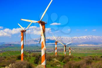 Israel. The blossoming Golan heights in a sunny day. Some huge modern windmills. In the distance snow-covered Hermon is seen