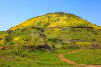 Legendary Golan Heights. Fresh green grass and a picturesque dirt road