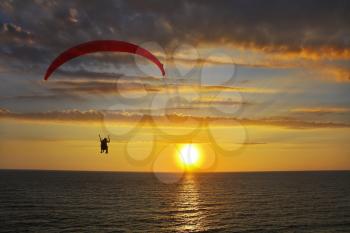 Operated parachute above the sea on a sunset