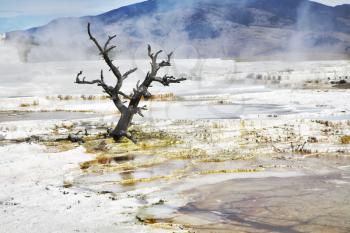 Improbably fantastic landscape in Yellowstone national Park