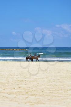 Horse patrol on a beach of the warm dark blue sea
