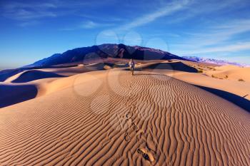Sunrise in the orange sands of the desert Mesquite Flat, USA. Woman - photographer is among the gently sloping sand dunes