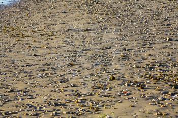 Sandy beach on coast of Mediterranean sea with  pebble