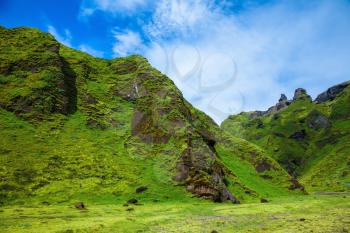 Canyon Pakgil -  green grass and moss on freakish rocks. The summer blossoming Iceland