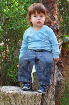 The charming little boy in dark blue jeans and a blue sweater sits on a high wooden stub