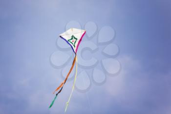 Holiday of kites on summery sea beach