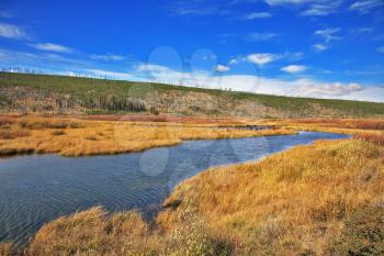 Silent soft autumn day - plain, a yellow grass and a stream in Yellowstone national park