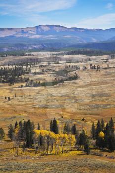Grandiose autumn landscape in Yellowstone national park
