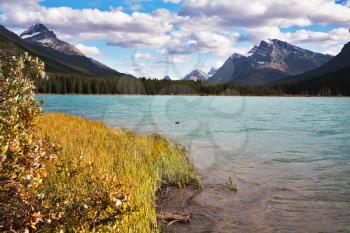 Coast of mountain lake covered by the turned yellow autumn grass