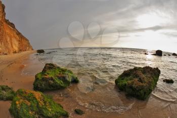 Wet green moss on huge stones of a beach on Mediterranean sea