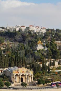 Mount of Olives in Jerusalem. The Church of all peoples, and centuries-old cypress road

