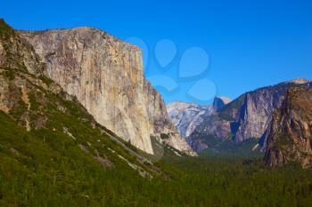 The well-known rocky monolith El-Captain shined by the morning sun. Yosemite, the USA