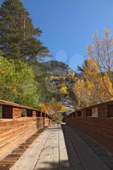 A small wooden bridge over a mountain stream. Fine autumn day in the mountains