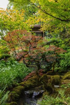 Quiet Japanese garden. Scenic park Butchart Gardens on Vancouver Island, Canada