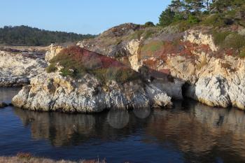 Rocky Pacific coast in the Reserve Point Lobos. Picturesque red patches of moss on the rocks
