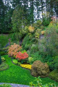 The world-famous masterpiece of park architecture. Butchart Gardens - beautiful gardens on Vancouver Island. Flower beds of colorful flowers and walking paths for tourists