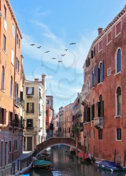 Eternal fabulous Venice. Through a narrow channel constructed an elegant bridge. Gondola approached by the walls of houses. In the sky - a triangular flock of migratory birds