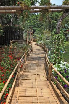 Gorgeous huge park on the island Madeira. Bamboo path around the fountain