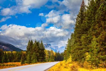 Canada, the Rocky Mountains. Fine Indian summer in Banff National Park. Highway among orange grass and evergreen trees