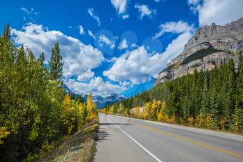 Travel to the Bow River Canyon in September. Excellent highway and surrounded by autumnal woods. Canadian Rockies, Great Banff