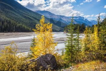 Autumn decrease in river water. Rocky Mountains. The picturesque valley in Jasper National Park