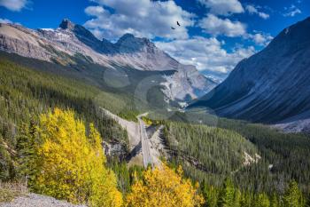 The picturesque canyon in sunny autumn day. At the edge of canyon takes excellent highway. Canadian Rockies, Banff National Park