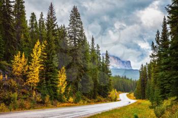 Canada Rockies. Lovely Golden Autumn in Banff National Park. Highway among orange grass and evergreen trees