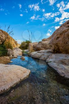  Typical landscape of the Middle East. The stream of cold pure water flows through the beautiful gorge Ein Gedi, Israel