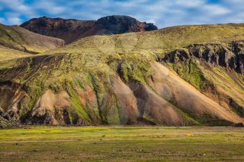 Multicolored rhyolite mountains surround the valley. Summer morning in the National Park Landmannalaugar, Iceland