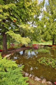 A quiet corner of the picturesque park in Europe. A pond, overgrown with lilies and weeping willow