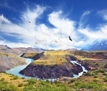 National Park Torres del Paine, Patagonia, Chile. The river bends between the hills, forming a Horseshoe Paine. Huge black Andean condors flying over water