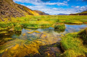 Summer in Iceland. Green grass among hot springs. The picturesque valley in Landmannalaugar national park. 