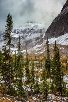 Cold start of autumn in Jasper National Park. Snow fell in September. Mount Edith Cavell and Angel Glacier 