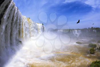 The most high-water waterfall in the world - Iguazu. White whipped foam of water and a thin mist over the water. The picture is taken by lens Fisheye. Between a waterfall and a rainbow fly huge Andean