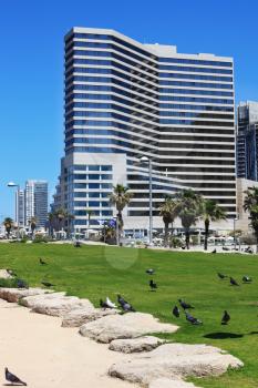 TEL AVIV, ISRAEL - MAY 2, 2014: Beautiful Tel Aviv promenade. On the green lawn in front of the hotel walks flock of pigeons