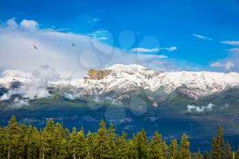 Canadian Rockies. Beautiful September day. Magnificent views of the snow-capped mountain peaks