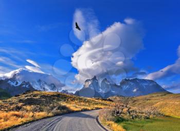 National Park Torres del Paine in southern Chile. A dirt road leads to the distant mountains. A huge cloud in the form of a burning candle flies away. Above the valley flying flock of Andean condors